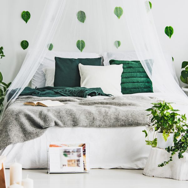 Green Single Bed